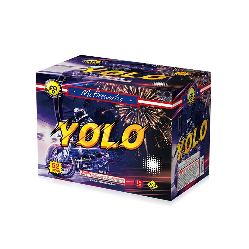 Yolo 52 coups 200g gâteau mc227
