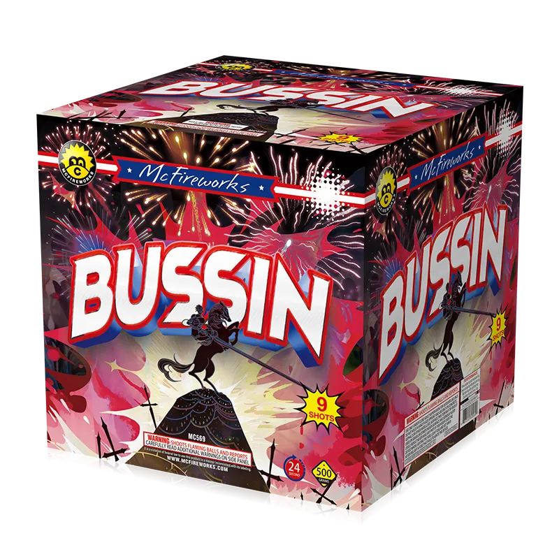 Bussin 9 coups 500g gâteau MC569