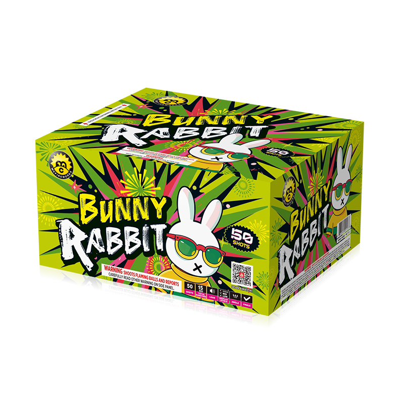 Lapin lapin 50 coups 200g gâteau mc113